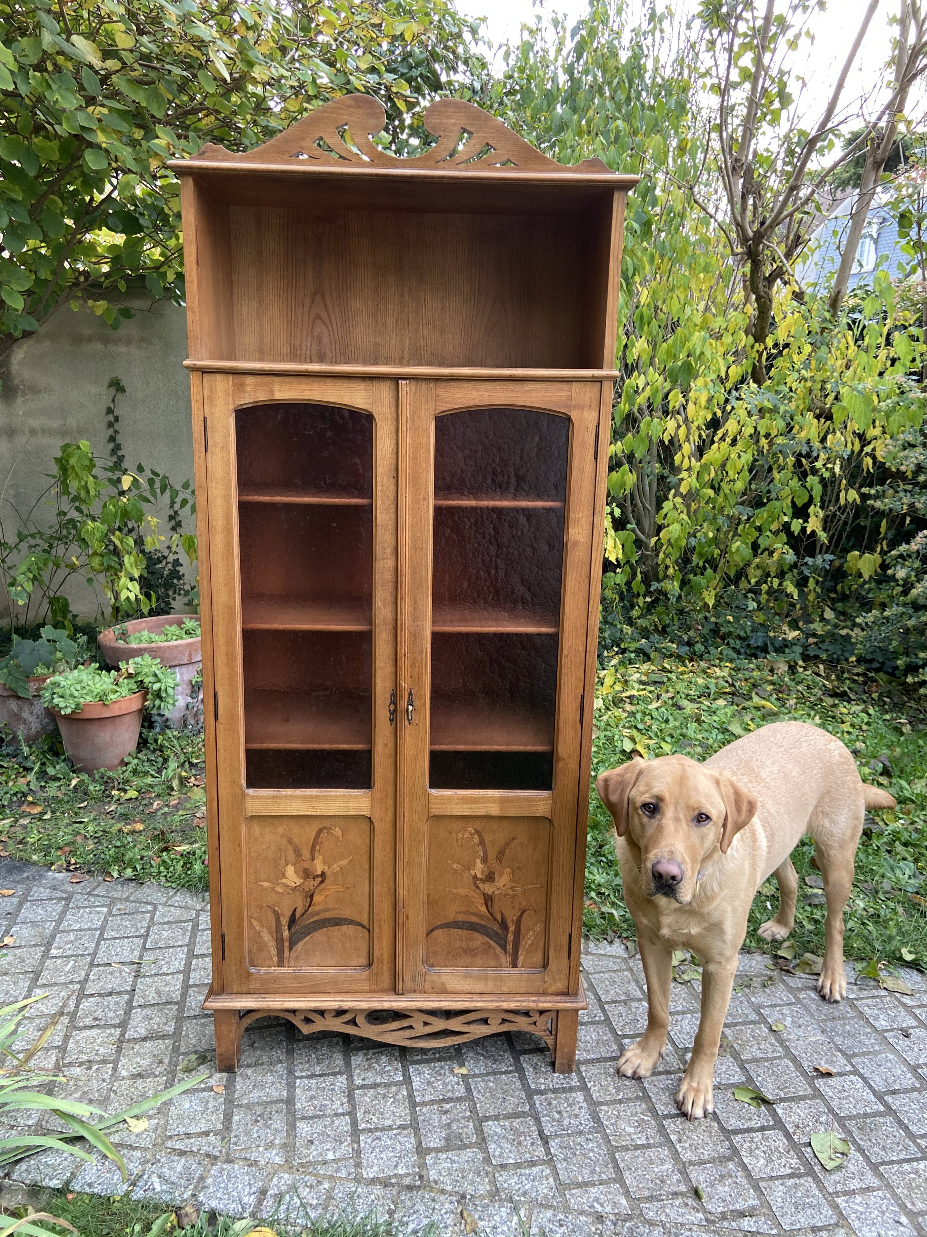 Showcase library Art Nouveau early twentieth century