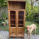 Showcase library Art Nouveau early twentieth century