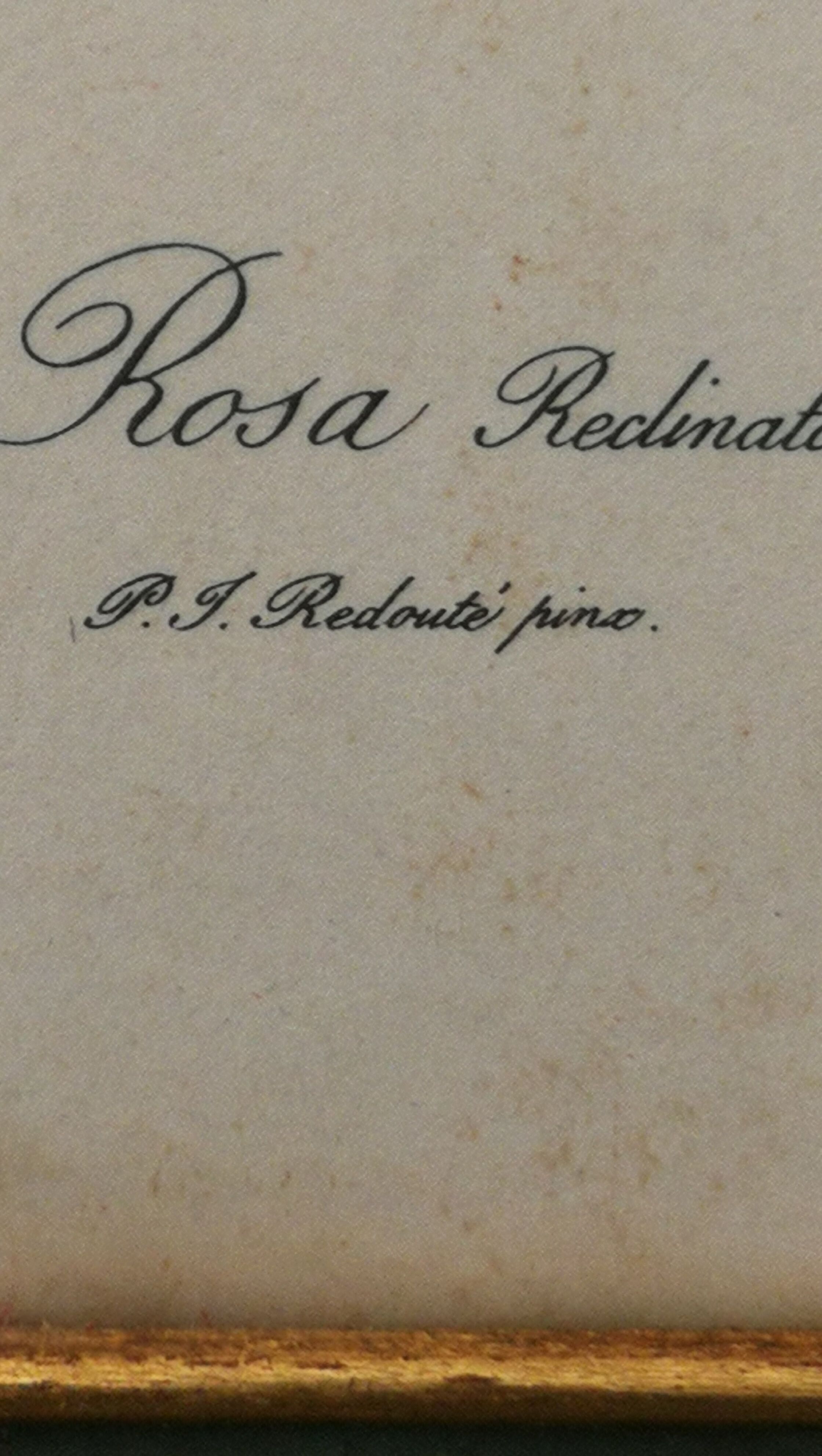 Botanical frame p. j redouté pinx imprimerie de rémond