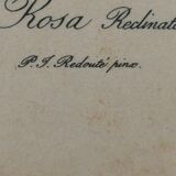 Botanical frame p. j redouté pinx imprimerie de rémond