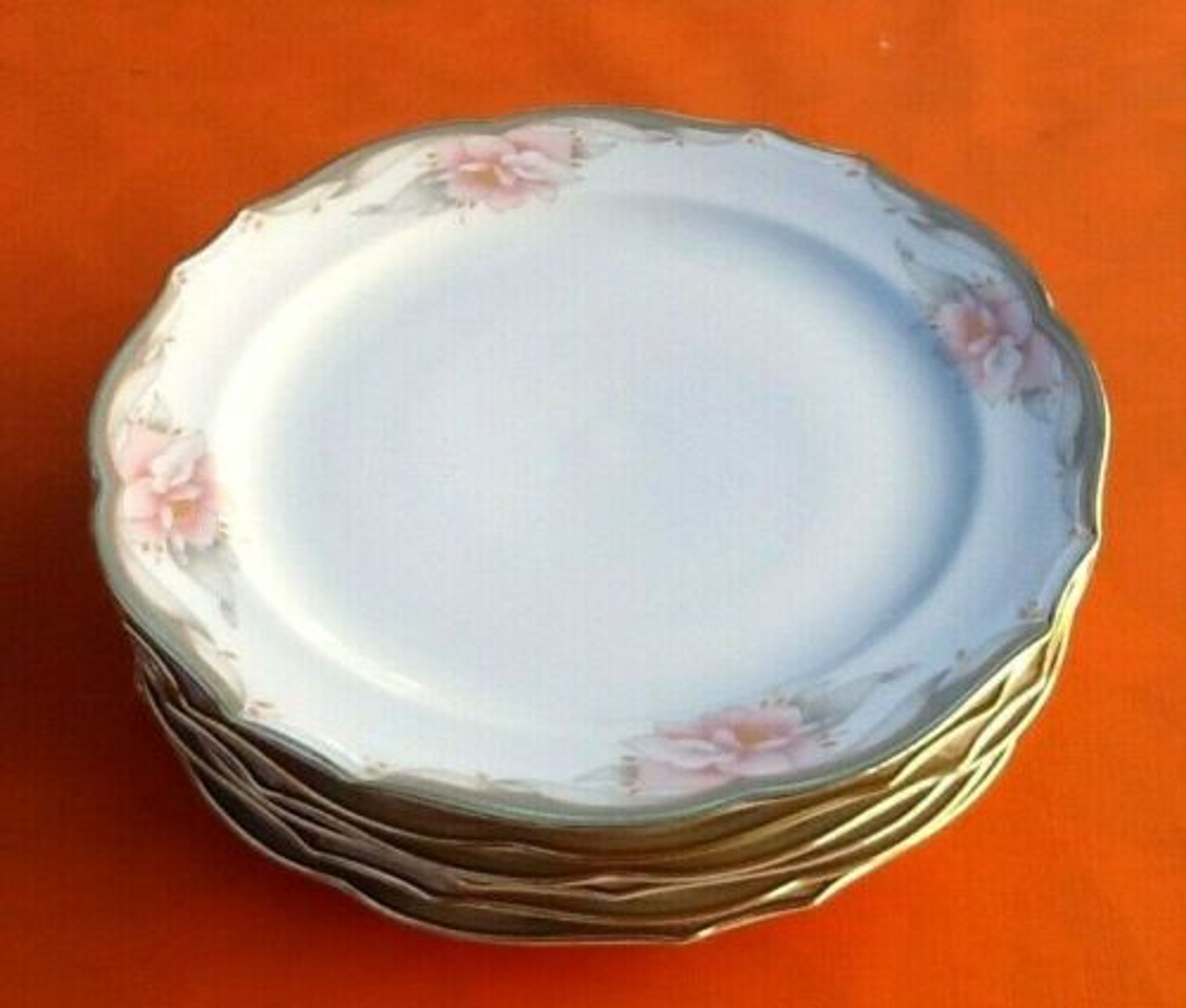 Suite of 6 flat plates Floral decoration Porcelain Winterling Roslau