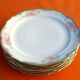 Suite of 6 flat plates Floral decoration Porcelain Winterling Roslau