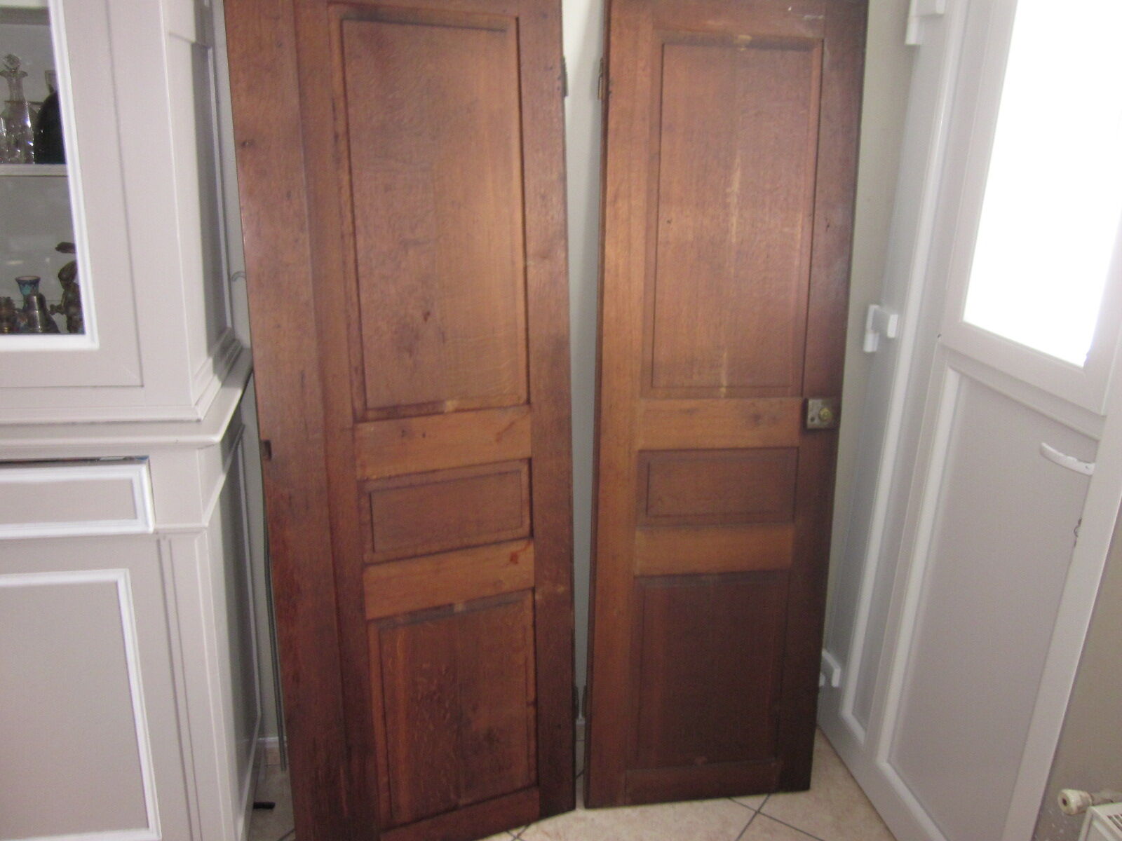 Pair of old door