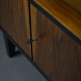 Mid-Century Modern Display Cabinet by R. T. Hałas, Model 1019