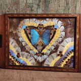 Vintage Brazilian inlaid tray Morpho butterfly wings, 1930s