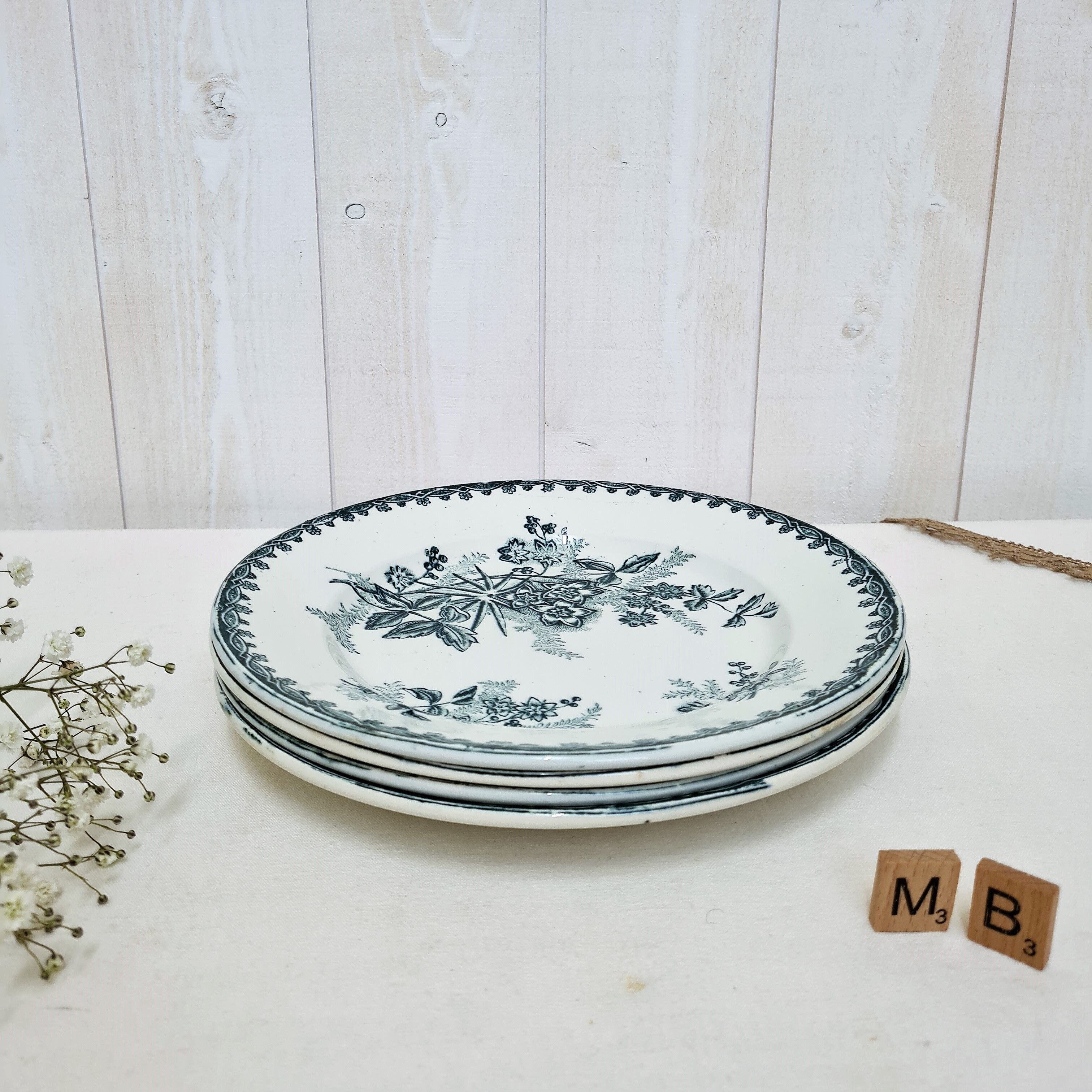 Set de 4 assiettes plates Terre de Fer