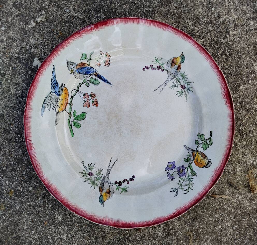 Plat rond oiselets choisy le roi