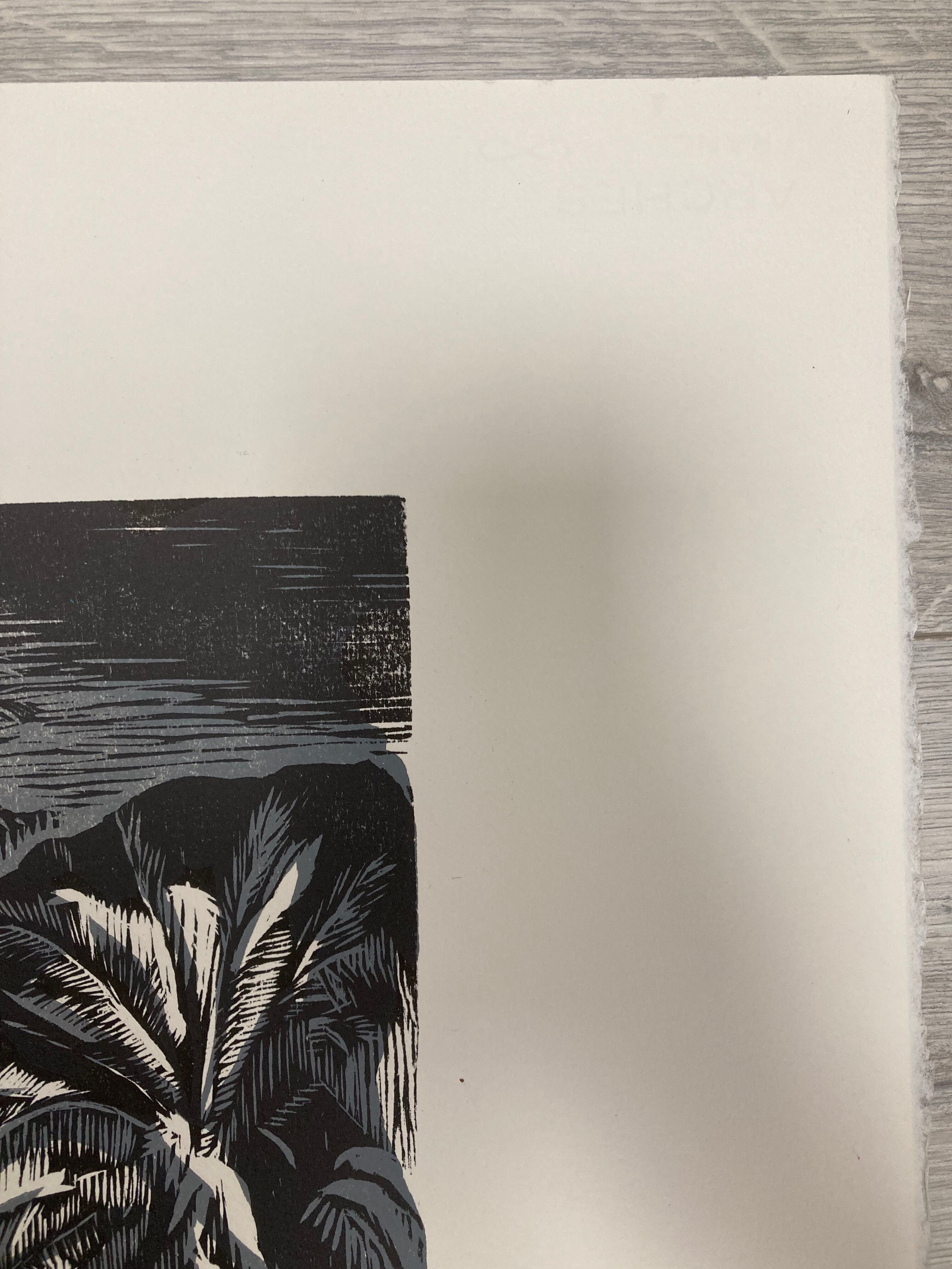 Illustration Le Bois des Cocotiers