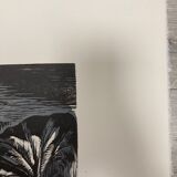 Illustration Le Bois des Cocotiers