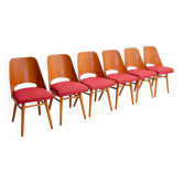Chaises de salle à manger Mid Century par Radomír Hofman, années 1960, ensemble de 6