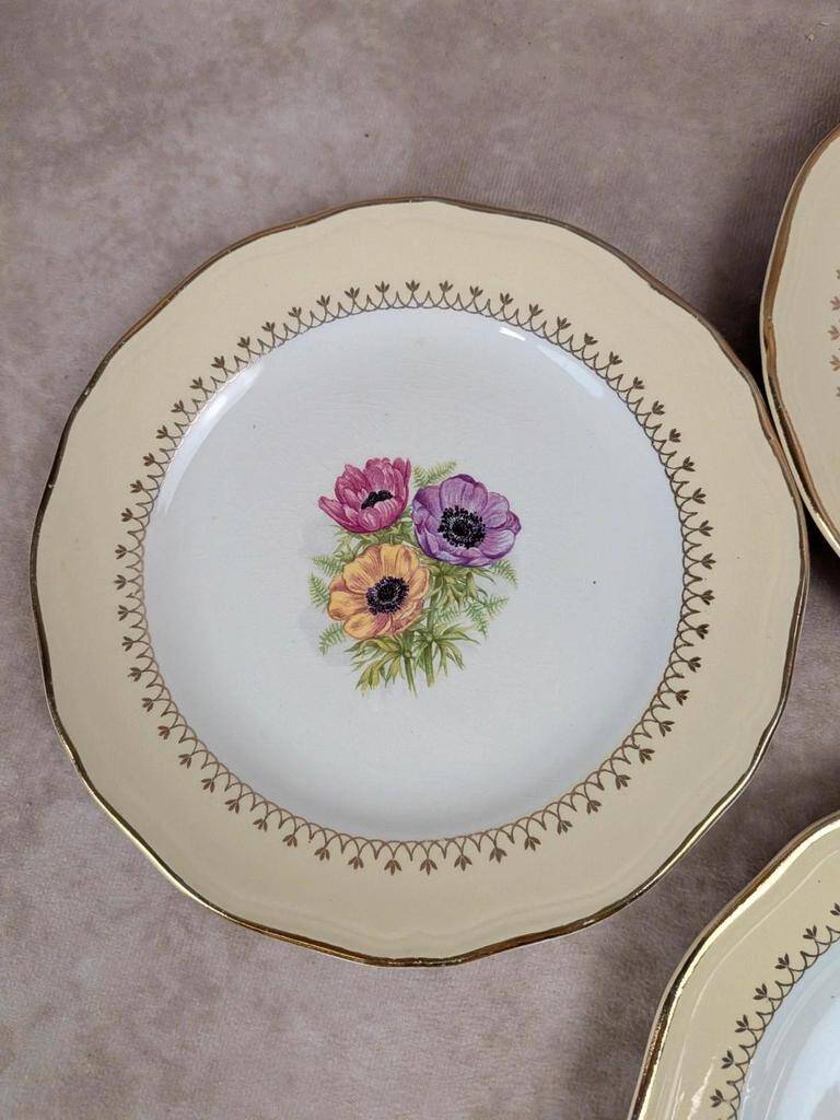 Set of 10 vintage dessert plates L’amandinoise Coopélia