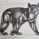 Illustrated plate, Studies of a Bear and an Ox Signed André Margat, 1930