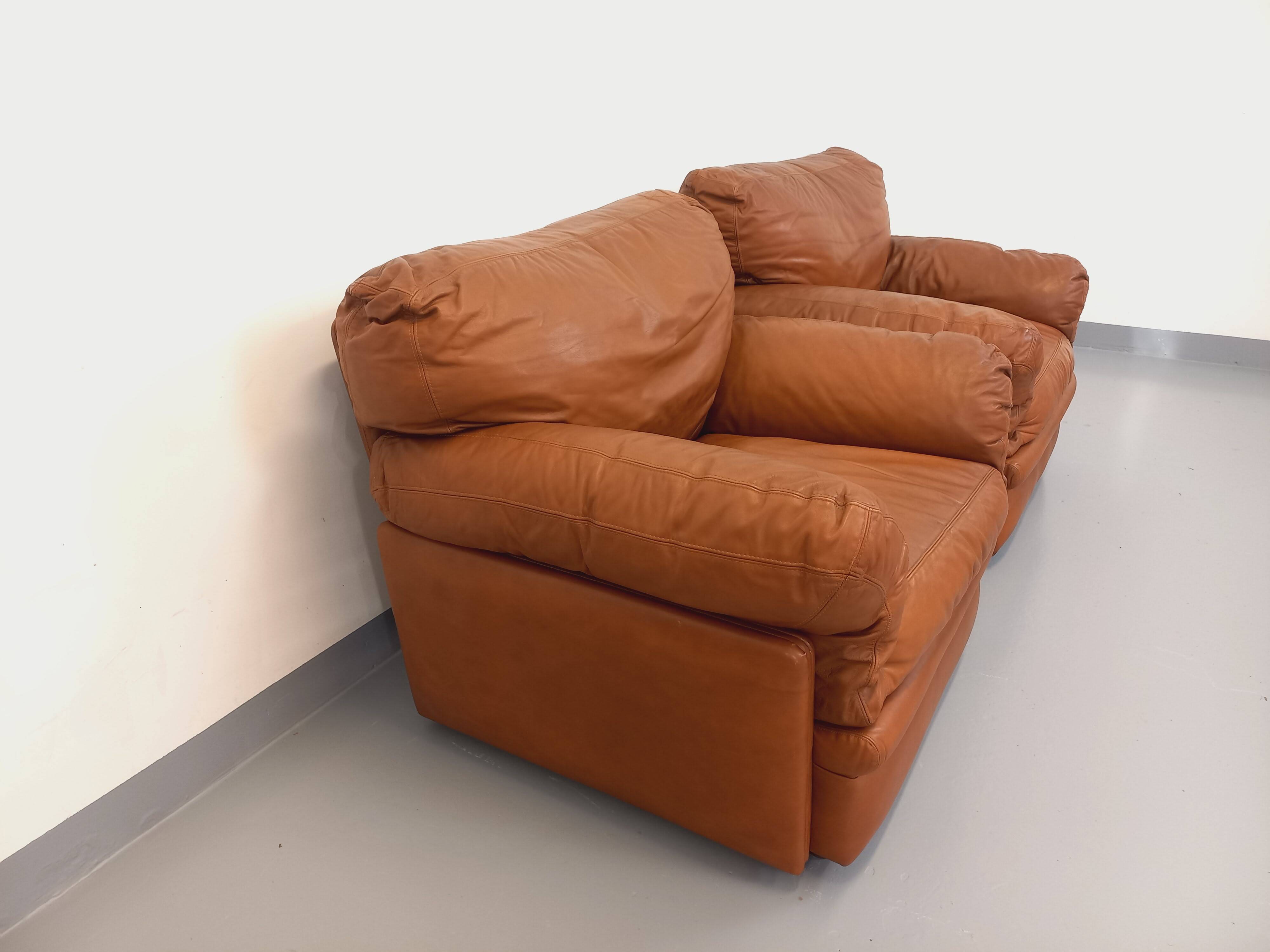 Pair of vintage Coquelicot lounge chairs by Tito Agnoli for Poltrona Frau in leather from the 70s