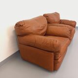 Pair of vintage Coquelicot lounge chairs by Tito Agnoli for Poltrona Frau in leather from the 70s