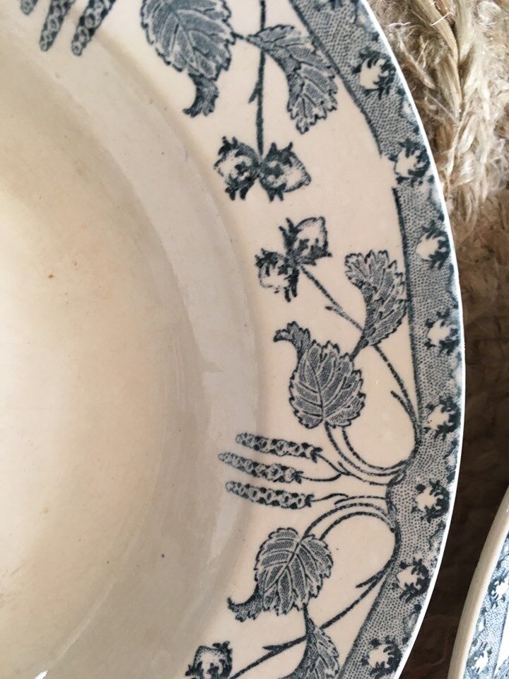 Creuse plates Sarreguemines model "nuts"