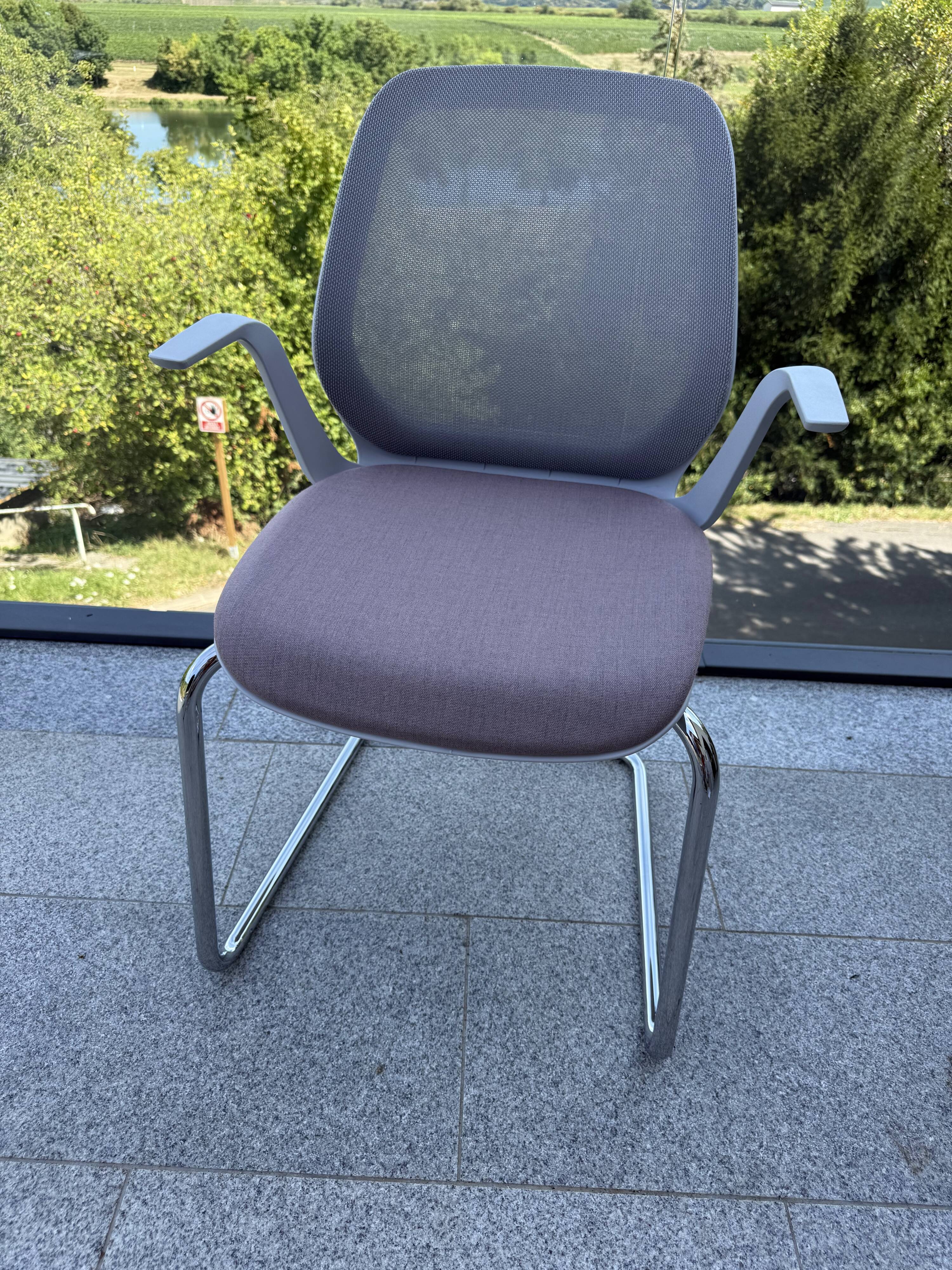 Sedus chair – SE:FLEX Freischwinger