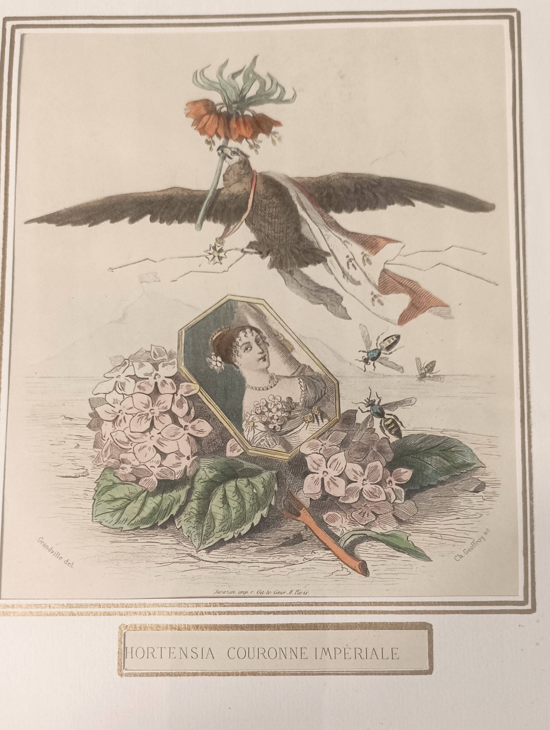 JJ Grandville Animated Flower Frame - Imperial Crown Hydrangea