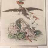 JJ Grandville Animated Flower Frame - Imperial Crown Hydrangea