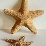 Vintage starfish