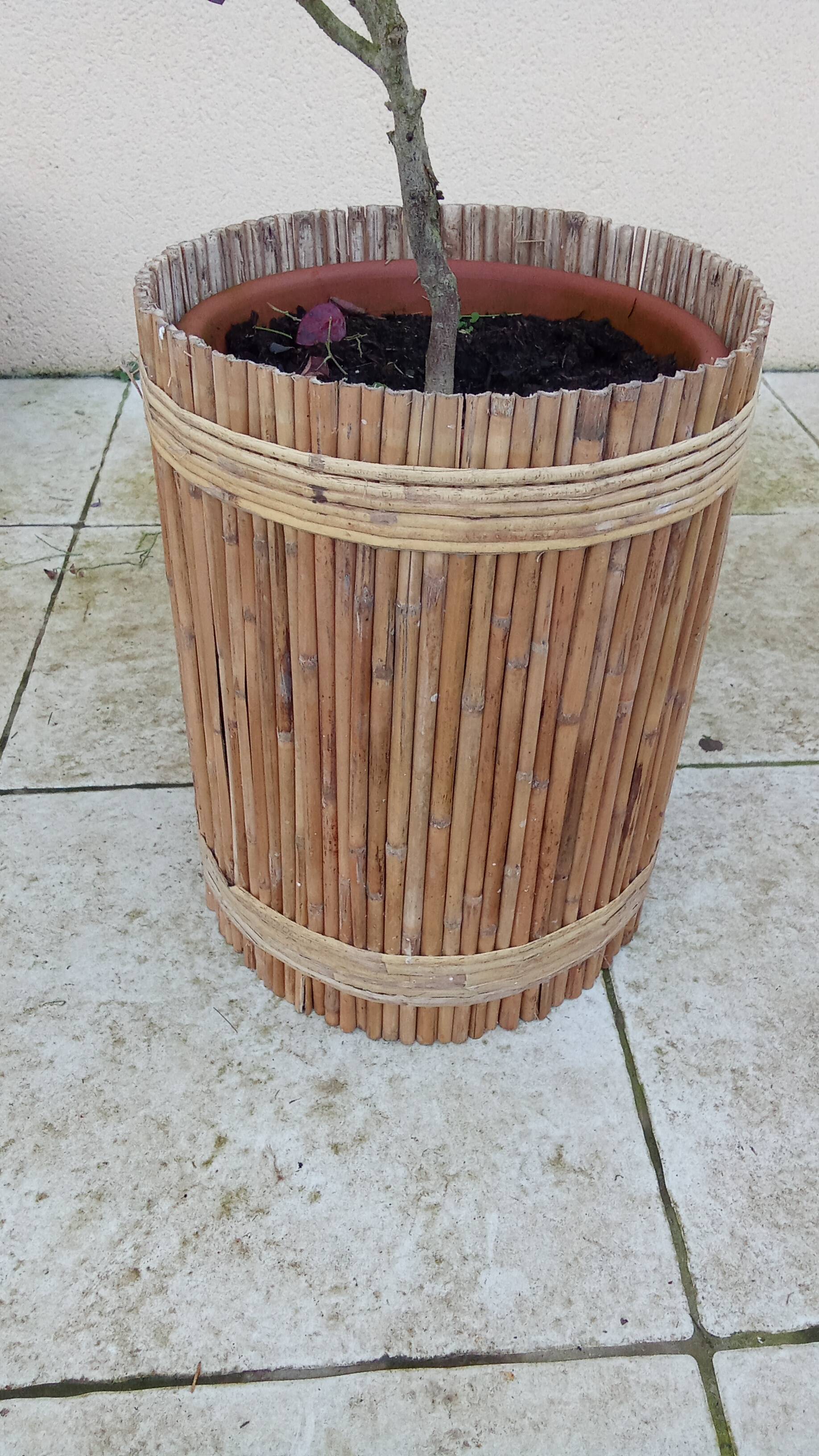 vintage rattan planter from the 50s