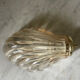 Vintage smoked glass shell wall light