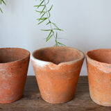5 pots