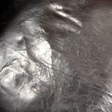 Scandinavian sofa "Bodö", Svante Skogh, Sweden, 1960