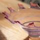 Vintage Rose Murano Mid-Century Decorative Bowl Plate, Italy, 1960s