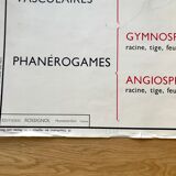 Rossignol pedagogical poster