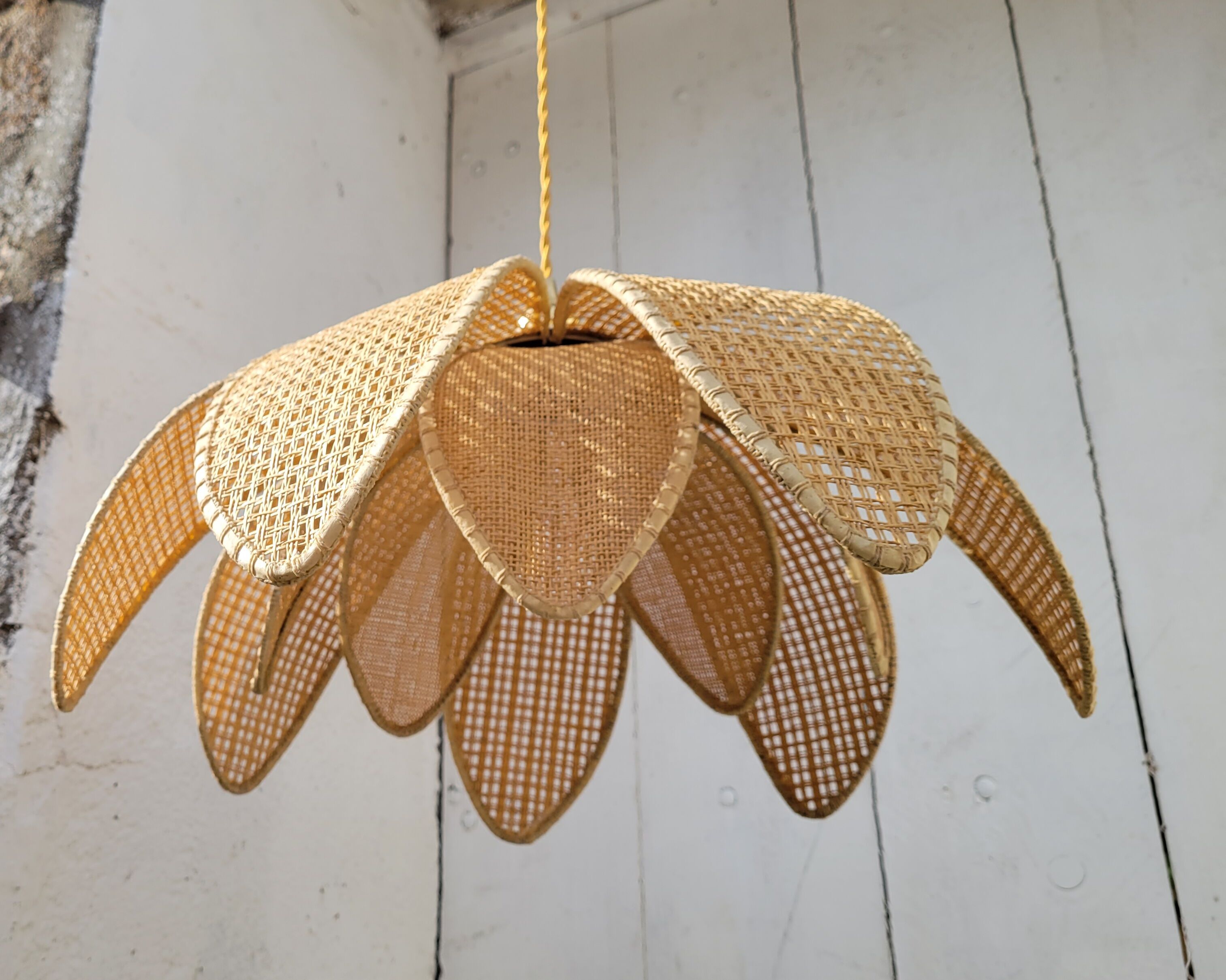 Rattan palm suspension and canning