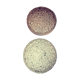 Deux appliques en verre