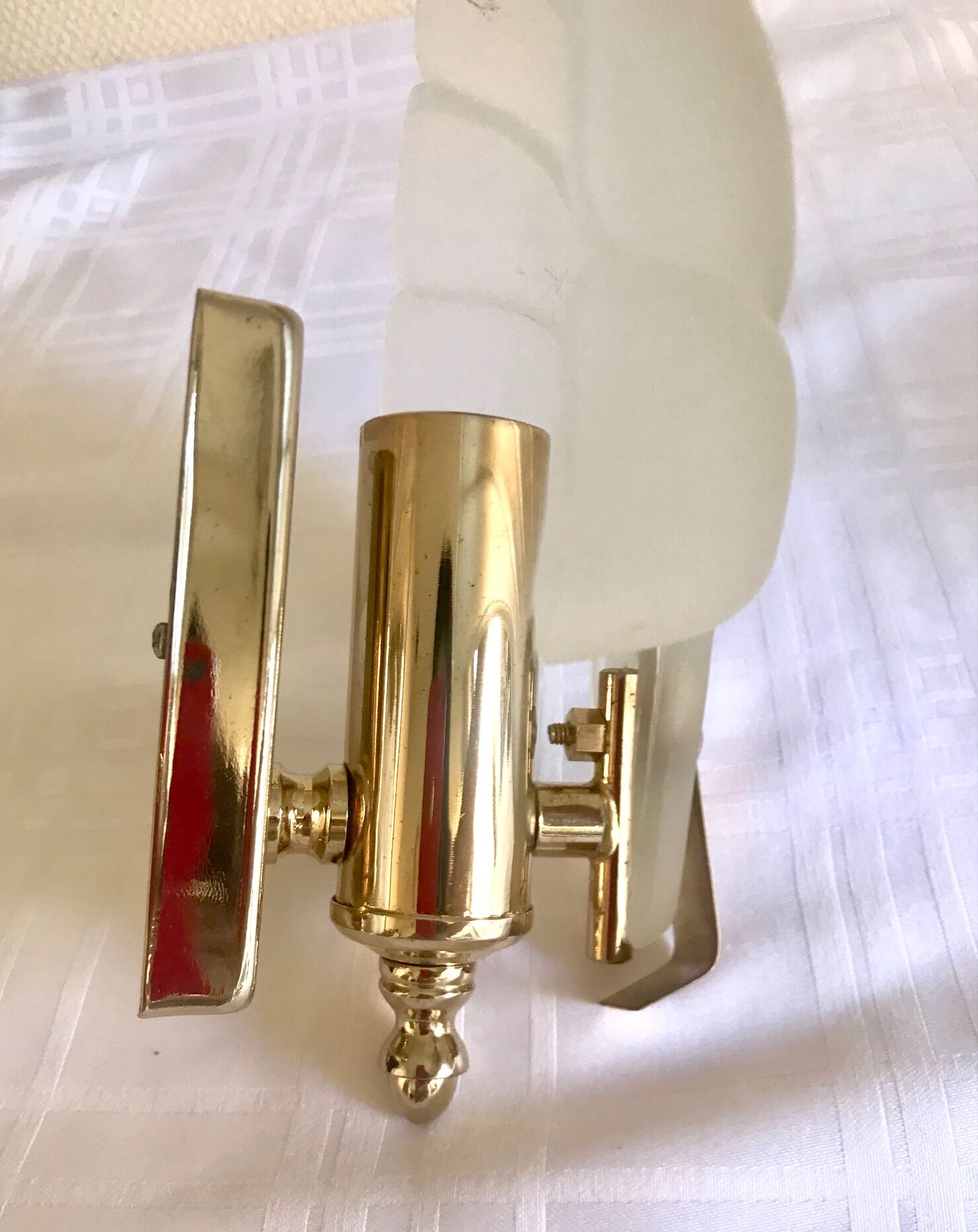 Pair of shell sconces