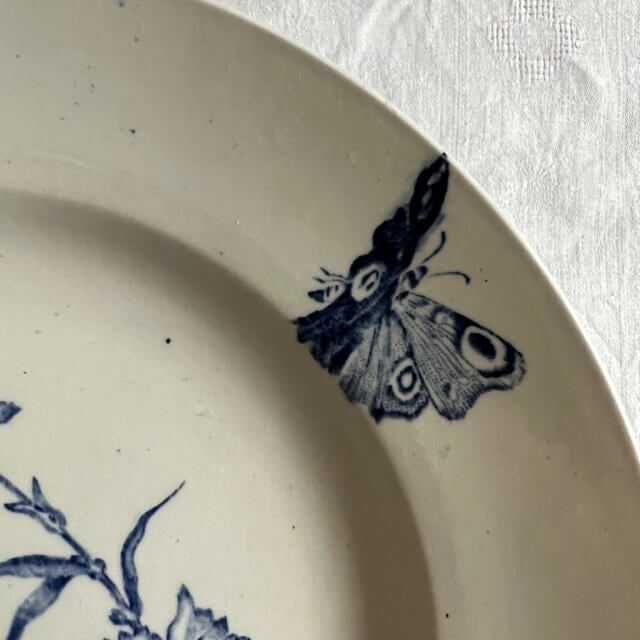 Set of 4 plates in iron earth, Aucella de Saint Amand