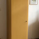 Vintage wardrobe with 1 door in Mado style
