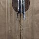 Cabinet of Curiosities globe 19th century flying lizard draco fimbriatus