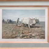 Tableau héliogravure originale Gillot