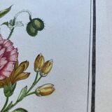 Two floral lithographs 2124