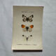 Gravure naturaliste  Papillon 19eme affiche botanique originale 1800