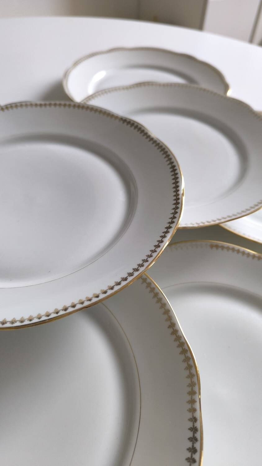 Set of 10 porcelain flat plates