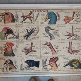 School poster