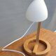 Scandinavian snowdrop design table lamp