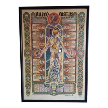 Original esoteric poster "Micro Cosmus" by Giovanni Tavaglione 1982