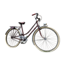 Vélo vintage pearl valencia