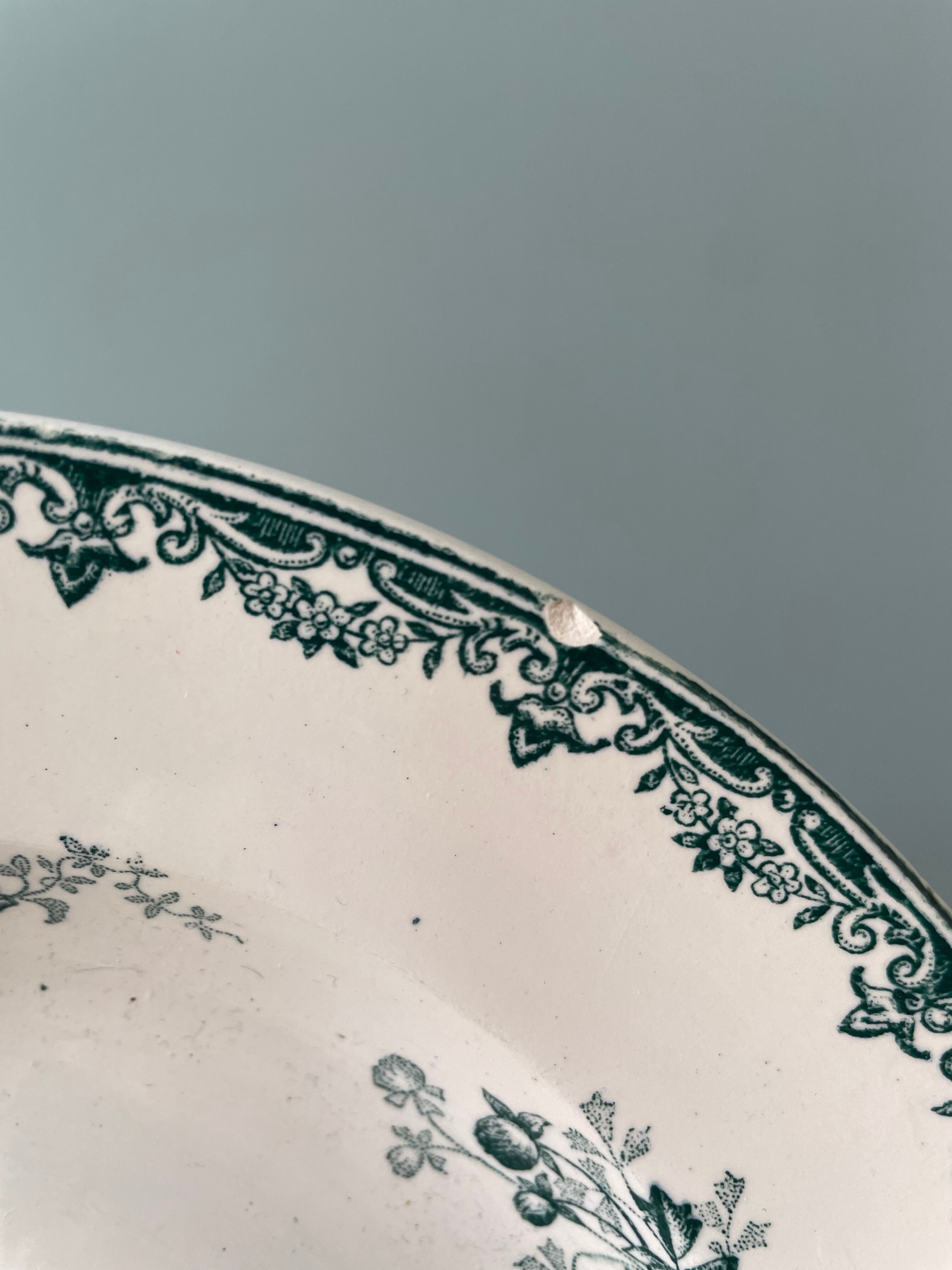 Set of 7 mismatched hollow plates Terre de Fer XIXth