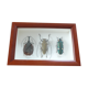 Boîte entomologie 3 insectes naturalisés