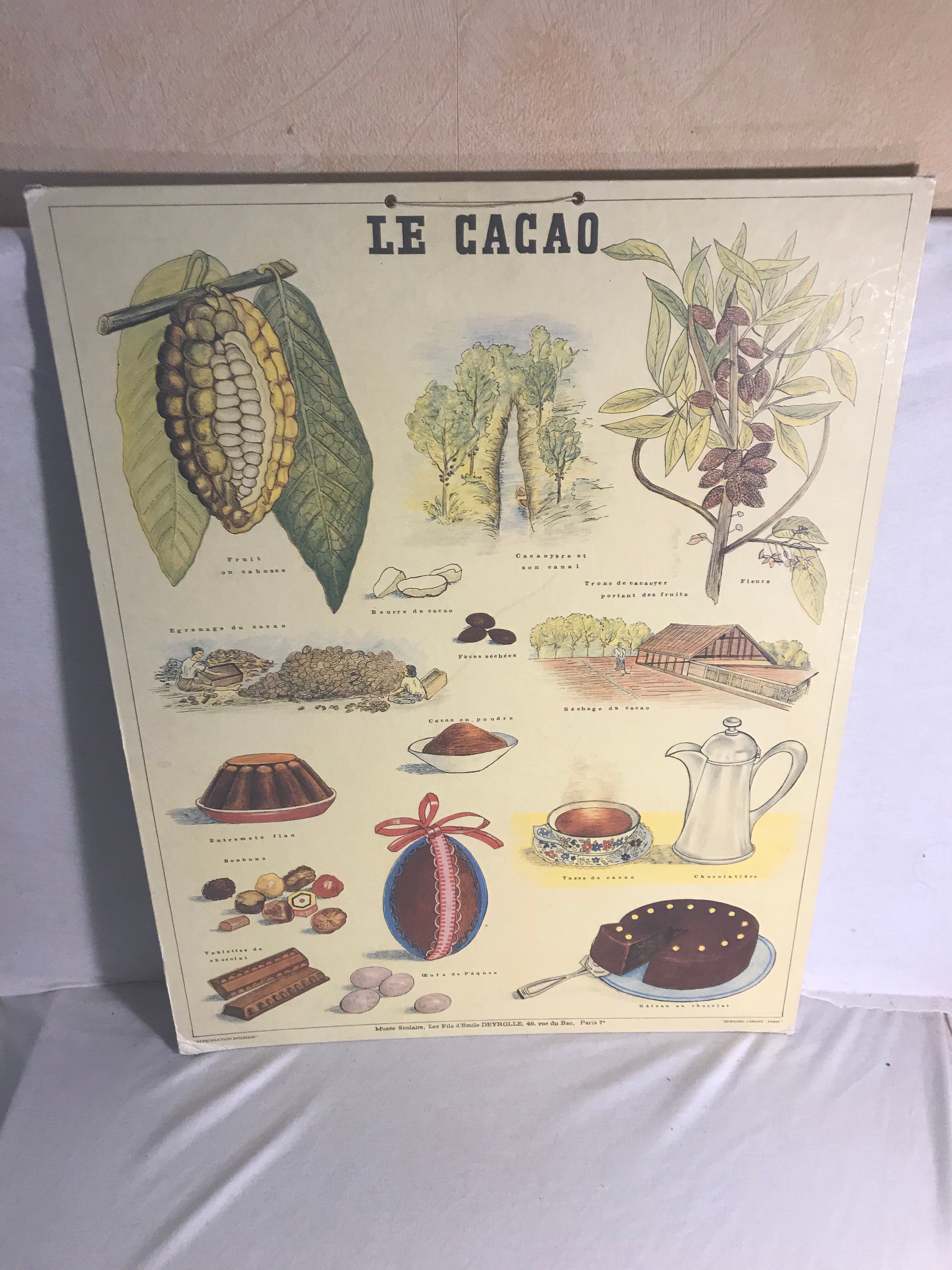 School poster by Bernard Carant - cocoa