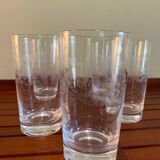 5 large engraved glasses