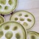 Shell plates Moulin des Loups Orchies