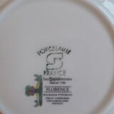 Set of 4 porcelain plates from SARREGUEMINES - PYROBLAN - Model FLORENCE