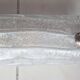 Murano glass wall or ceiling light
